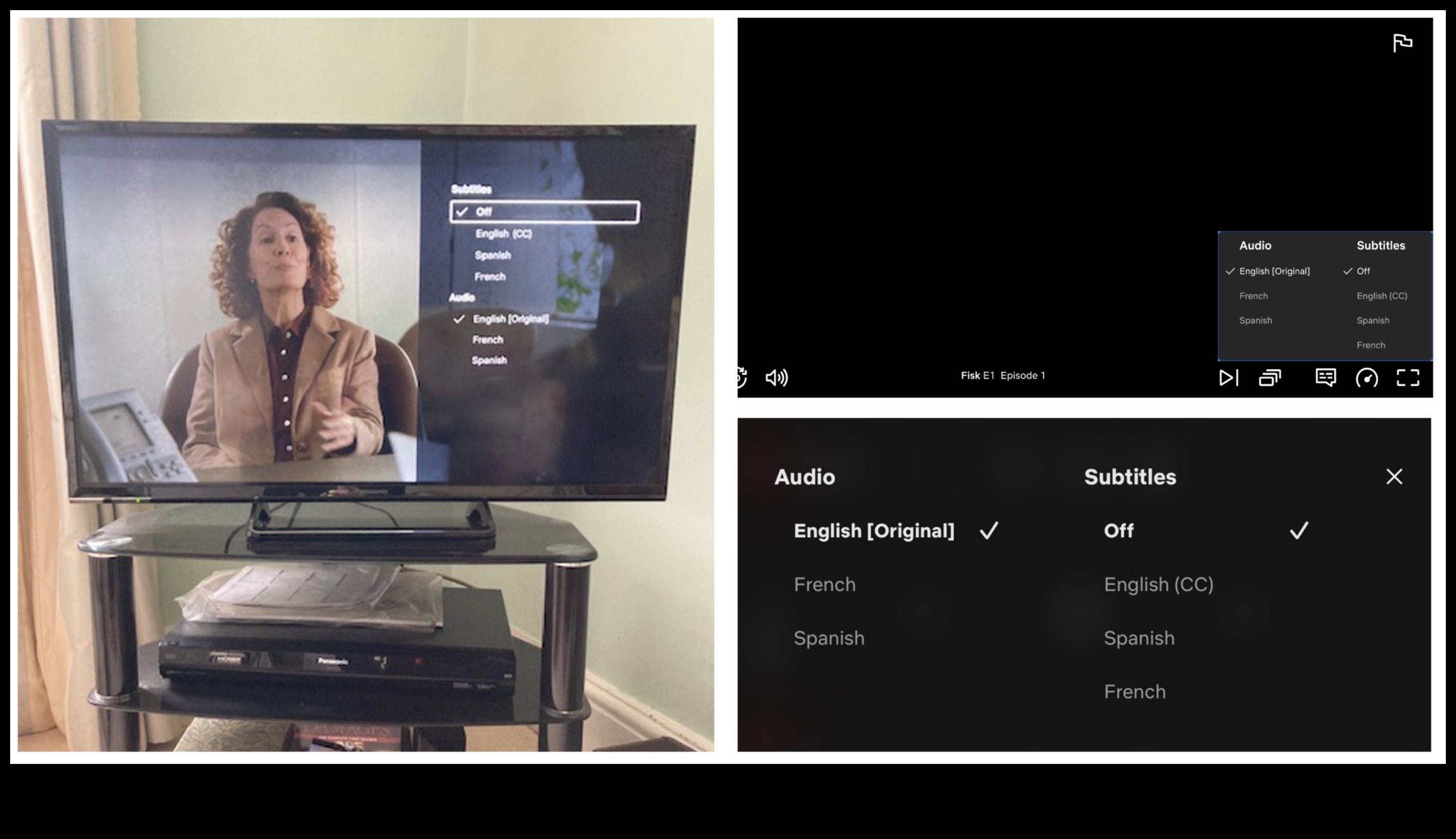 Televisioon kõigile: kaasav disain erinevatele juurdepääsetavuse vajadustele