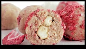 Protein Bliss täiustage oma kulinaarset kogemust gurmeehõrgutistega
